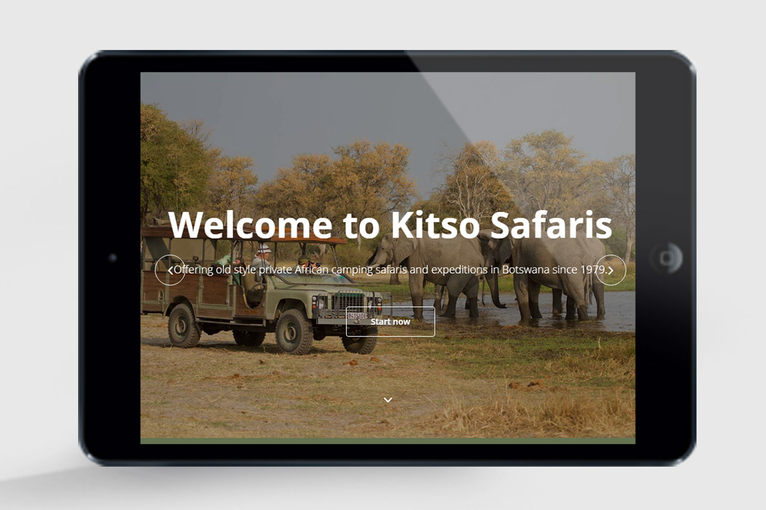 kitso safaris